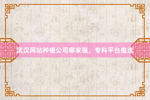 武汉网站种植公司哪家强，专科平台推选