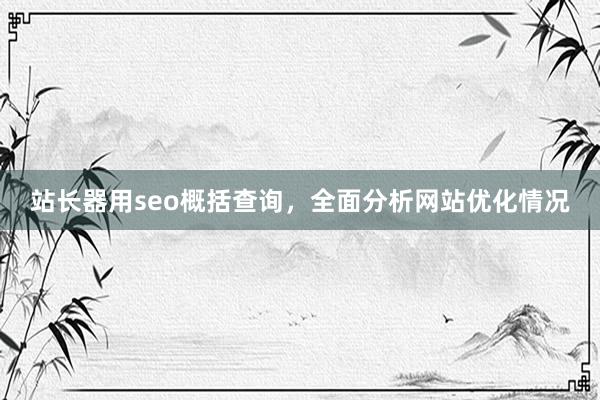 站长器用seo概括查询，全面分析网站优化情况