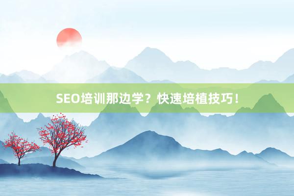 SEO培训那边学？快速培植技巧！