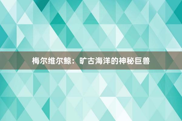 梅尔维尔鲸：旷古海洋的神秘巨兽