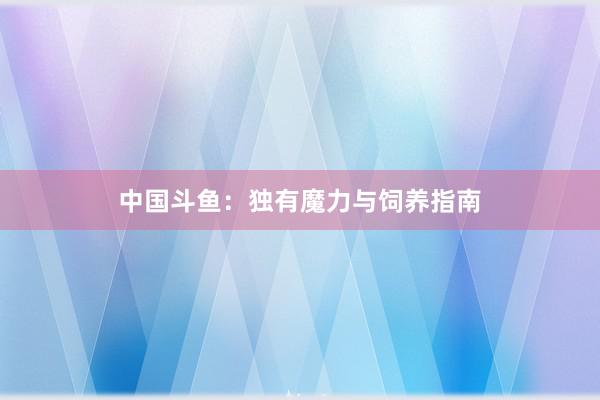 中国斗鱼：独有魔力与饲养指南